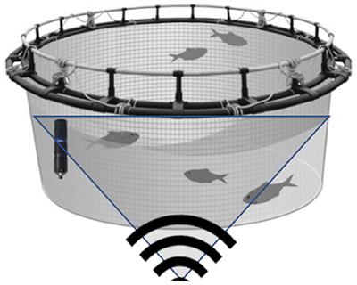 Data Driven Insight Into Fish Behaviour and Their Use for Precision Aquaculture